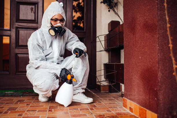 Reliable Cockroach Control contractor in Carrboro, NC by Nex Pest Control